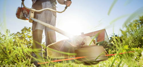 Типичные нарушения требований охраны труда при выполнении работ по косьбе травы