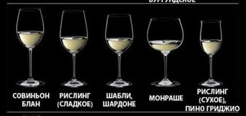 Формы имеют значения: дегустируем вино из правильных бокалов